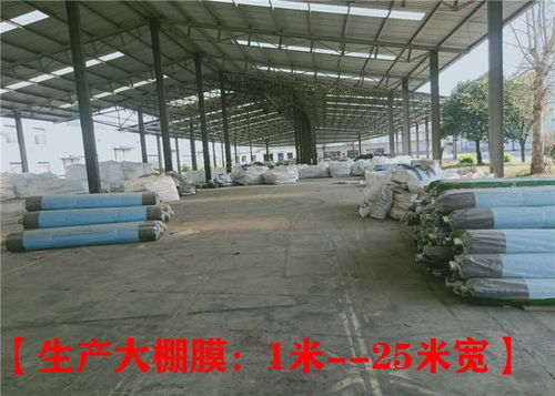 都江堰草莓大棚薄膜回馈父老——聊城华塑大棚膜厂发泡塑料的爱心行动